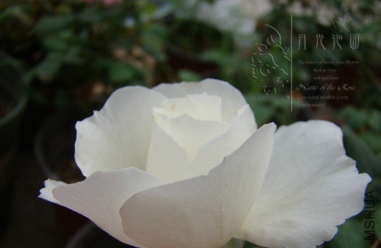 QQ��ͼ20120621212219.jpg