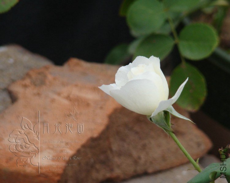 QQ��ͼ20120621212317.jpg
