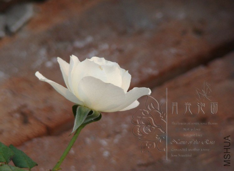 QQ��ͼ20120621212327.jpg