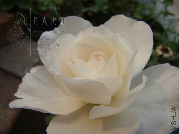 QQ��ͼ20120621212516.jpg