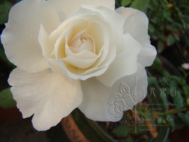 QQ��ͼ20120621212529.jpg