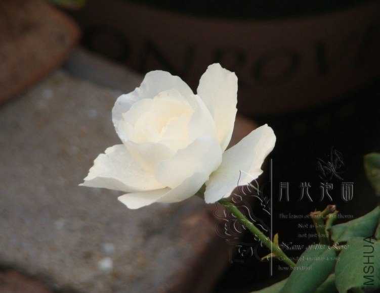 QQ��ͼ20120621212630.jpg