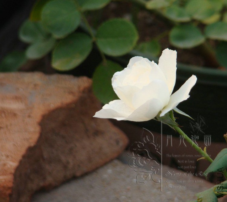 QQ��ͼ20120621212644.jpg