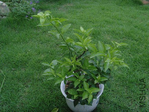 ���ŵ���