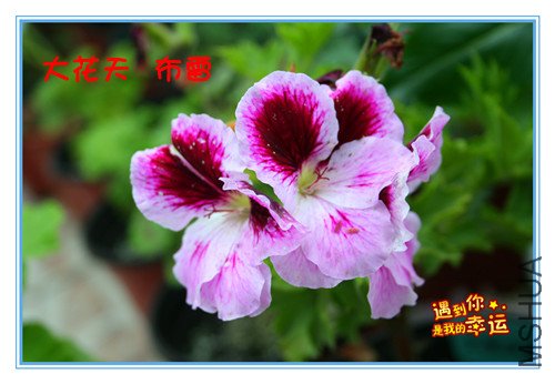 ��Ƭ 018_�������� ����.jpg