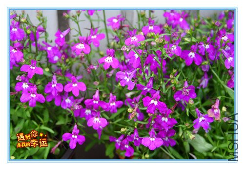 ��Ƭ 005_����5.jpg