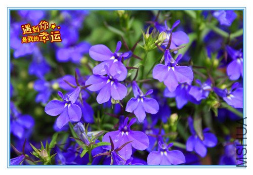 ��Ƭ 009_����6.jpg