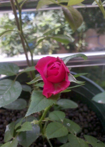 6��19��