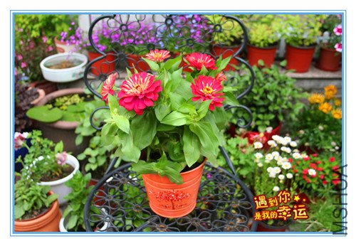 ��Ƭ 049_������1.jpg