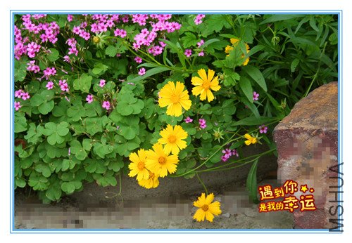 ��Ƭ 093_������.jpg