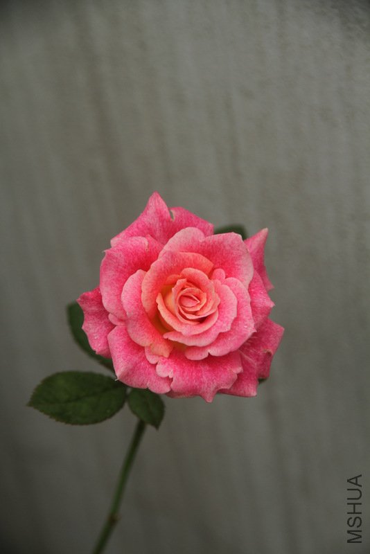 IMG_3846.JPG