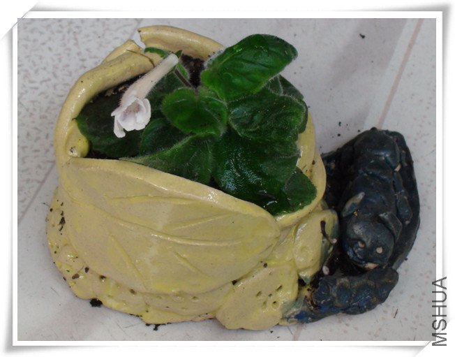 Sinn sky high sport2.jpg