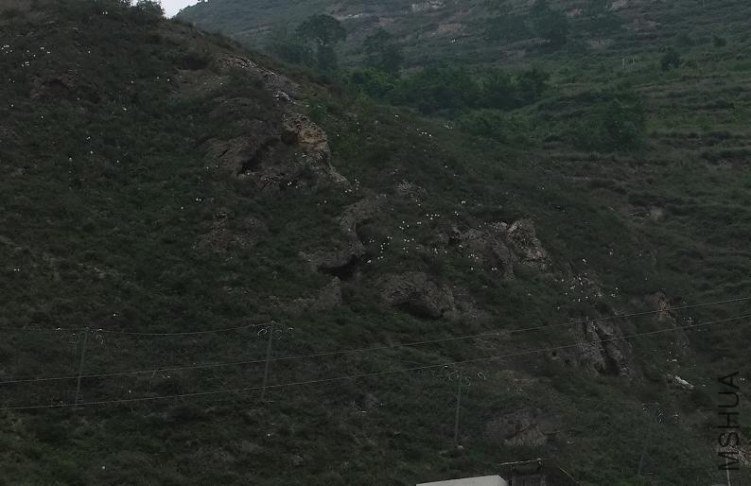 b3.JPG