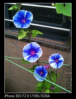 nEO_IMG_IMG_1797.jpg
