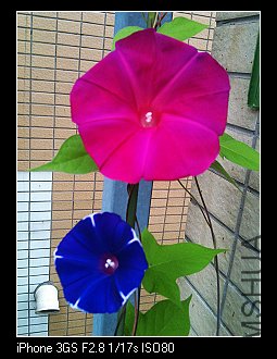 nEO_IMG_IMG_1802.jpg