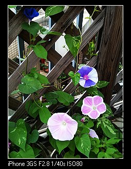nEO_IMG_IMG_1809.jpg