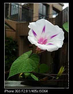nEO_IMG_IMG_1820.jpg