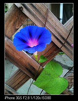 nEO_IMG_IMG_1821.jpg