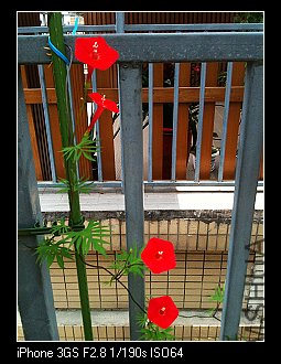 nEO_IMG_IMG_1792.jpg