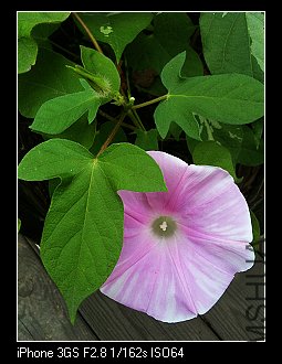 nEO_IMG_IMG_1829.jpg