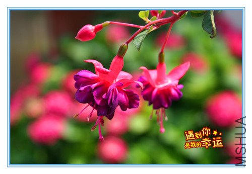 ��Ƭ 144_������2.jpg