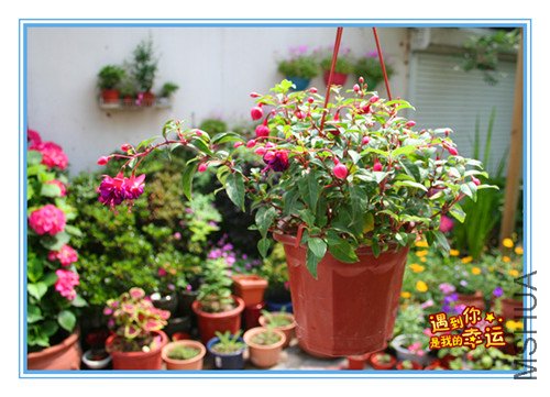 ��Ƭ 140_������1.jpg