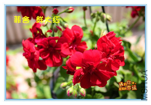 ��Ƭ 078_���� ����   �ʴ��.jpg