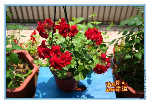 ��Ƭ 074_���� ���� �ʴ��.jpg