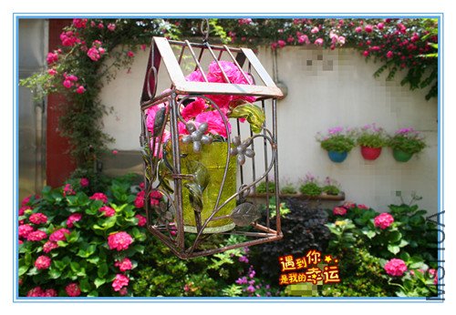 ��Ƭ 054_����2.jpg