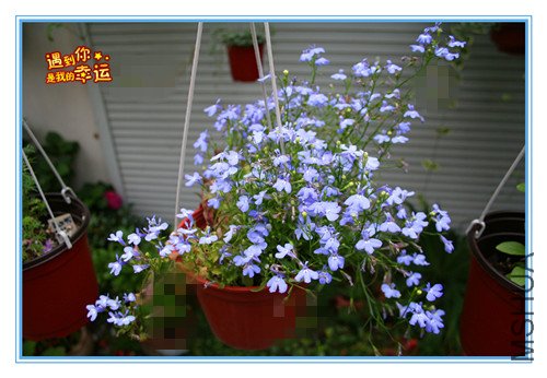 ��Ƭ 069_������1.jpg