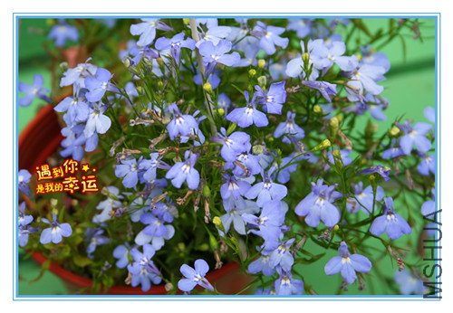 ��Ƭ 074_������2.jpg