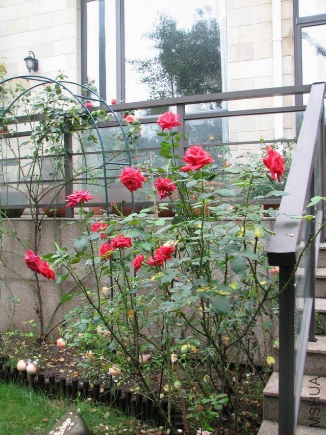 ������С ������С ��ת IMG_2418.jpg