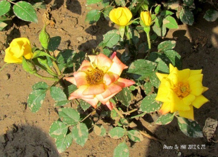 2012.5.27. 023_conew2.jpg