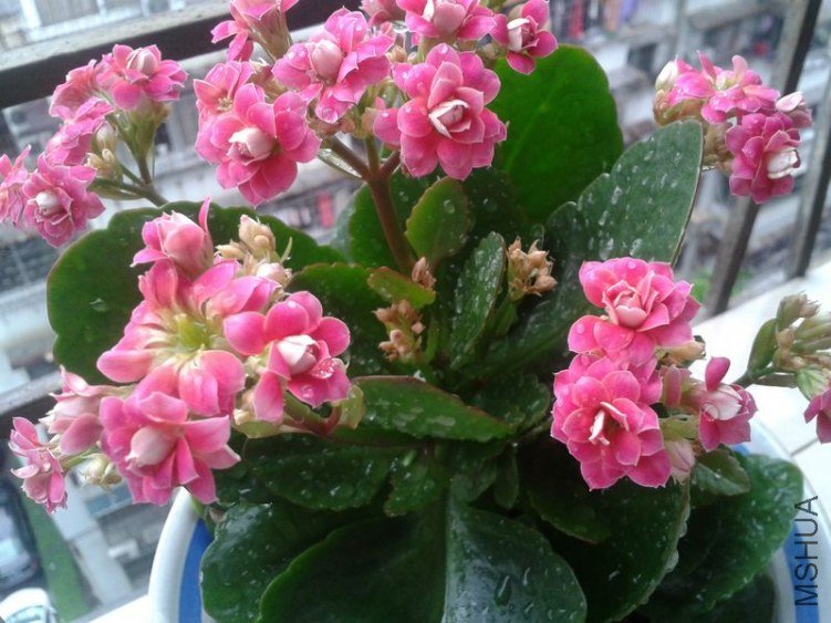2012-06-22 17.52.341.jpg