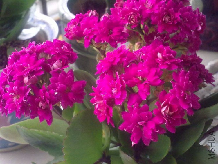 20120616812-1.jpg