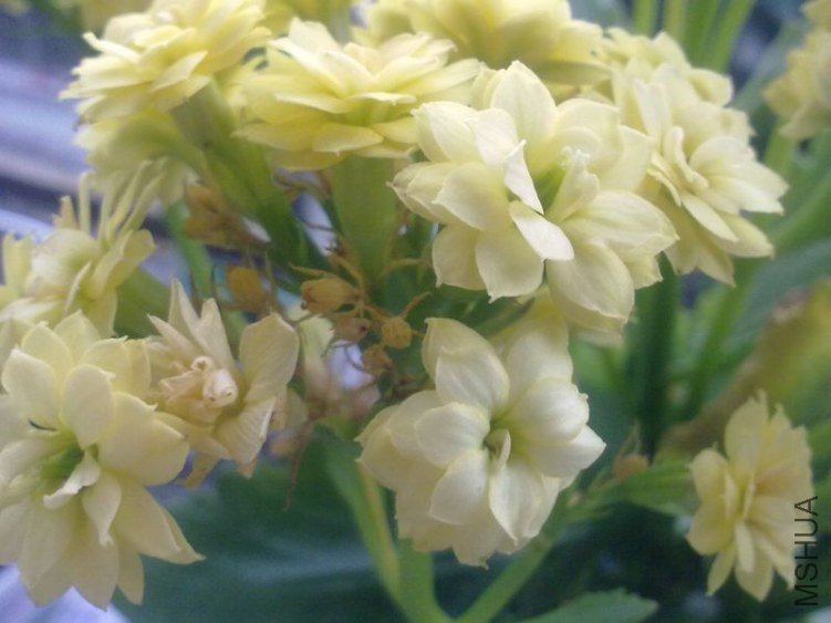 20120616815-1.jpg