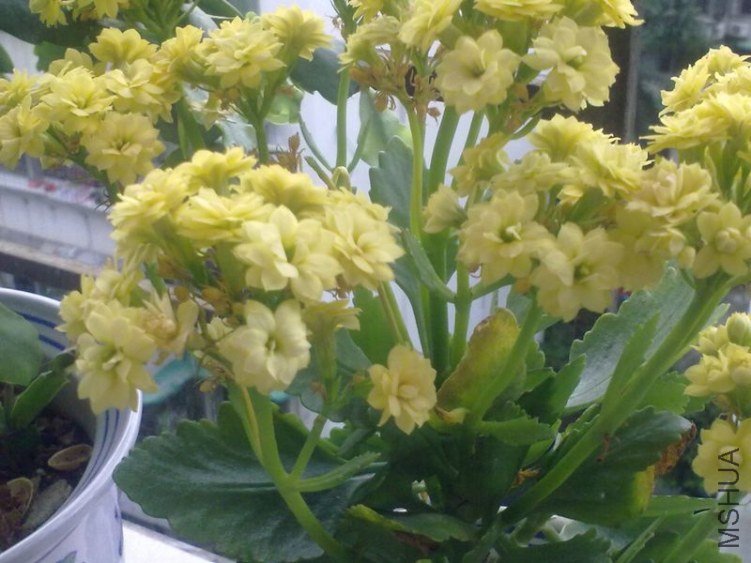 20120616816-1.jpg