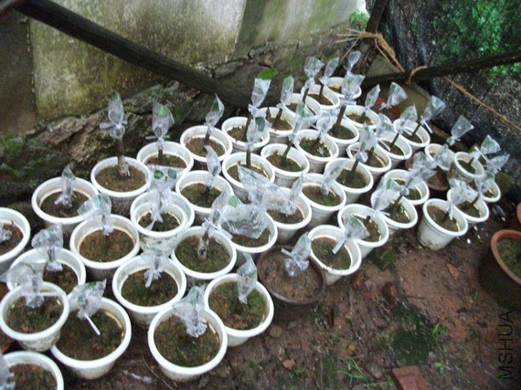 �ڷ���������