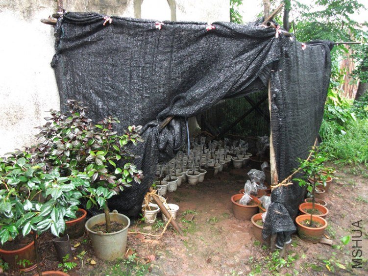 ����������ۣ���˫�����