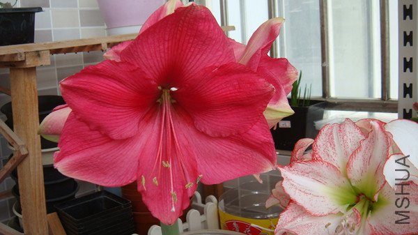 DSC02483_����.jpg