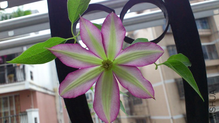 DSC_1161.JPG