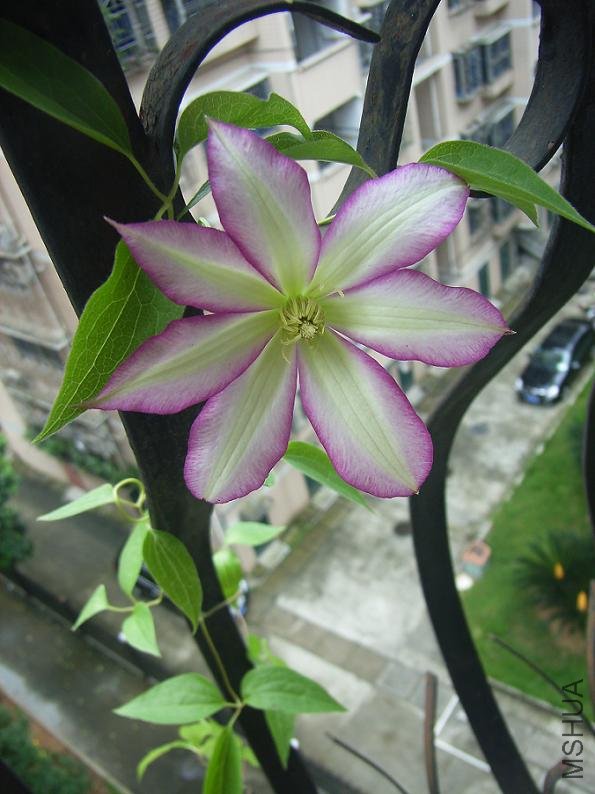 2012.6.24 007.JPG