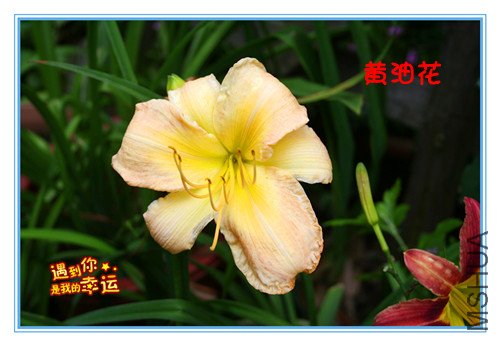 ��Ƭ 002_�������ͻ�.jpg