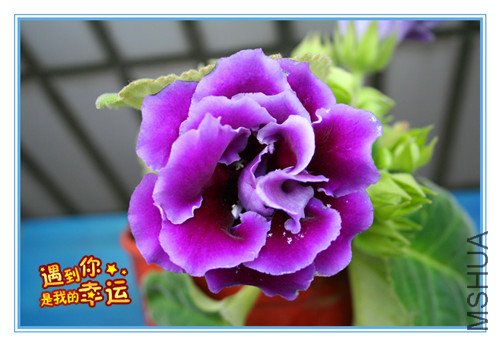 ��Ƭ 010_����.jpg