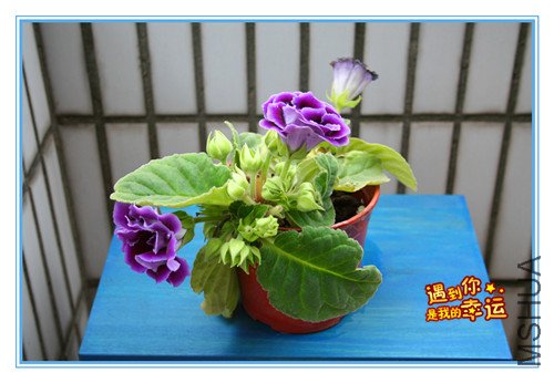 ��Ƭ 009_����.jpg