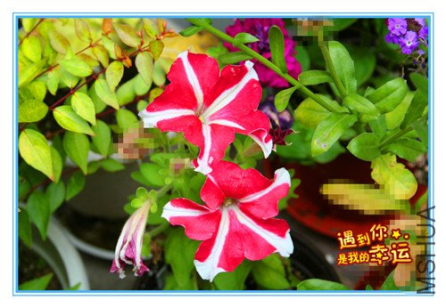 ��Ƭ 108_������1.jpg