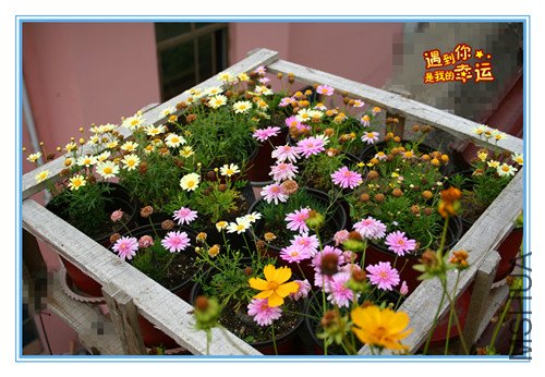 ��Ƭ 182_������.jpg