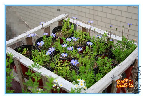 ��Ƭ 219_������2.jpg