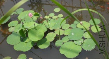 D982F582-8D5B-4AF3-92C8-DF9D2EA4CD07.jpg