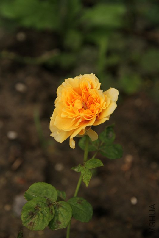 IMG_3879.JPG